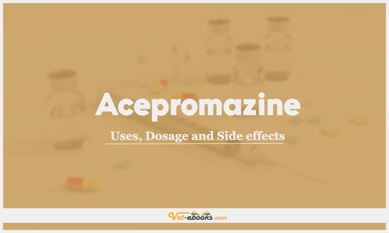 Acepromazine: Uses, Dosage and Side Effects