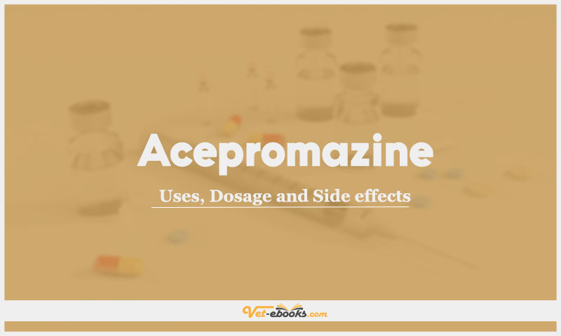 Acepromazine: Uses, Dosage and Side Effects In Dogs, Cats & All Animals