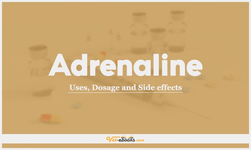 Adrenaline: Uses, Dosage and Side Effects