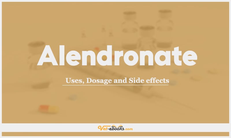 Alendronate: Uses, Dosage and Side Effects
