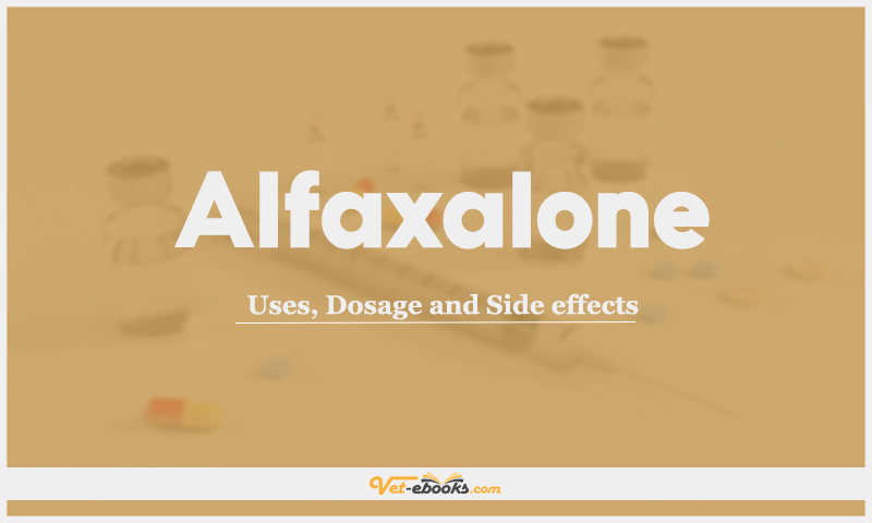 Alfaxalone: Uses, Dosage and Side Effects