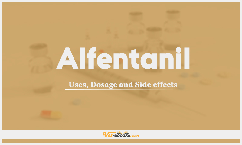 Alfentanil: Uses, Dosage and Side Effects