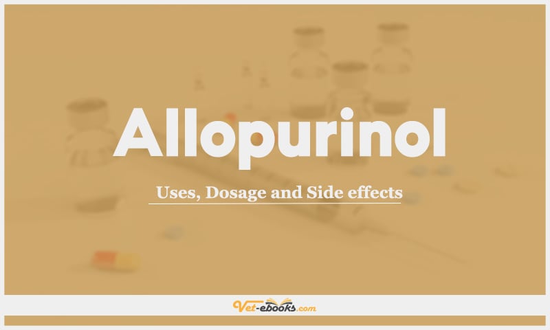 Allopurinol: Uses, Dosage and Side Effects