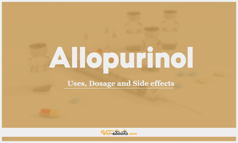 Allopurinol: Uses, Dosage and Side Effects