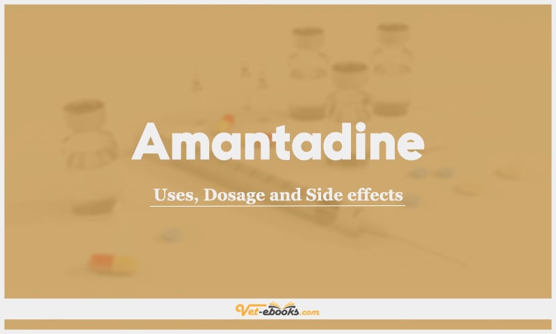 Amantadine: Uses, Dosage and Side Effects