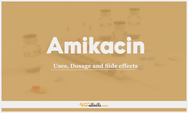 Amikacin: Uses, Dosage and Side Effects