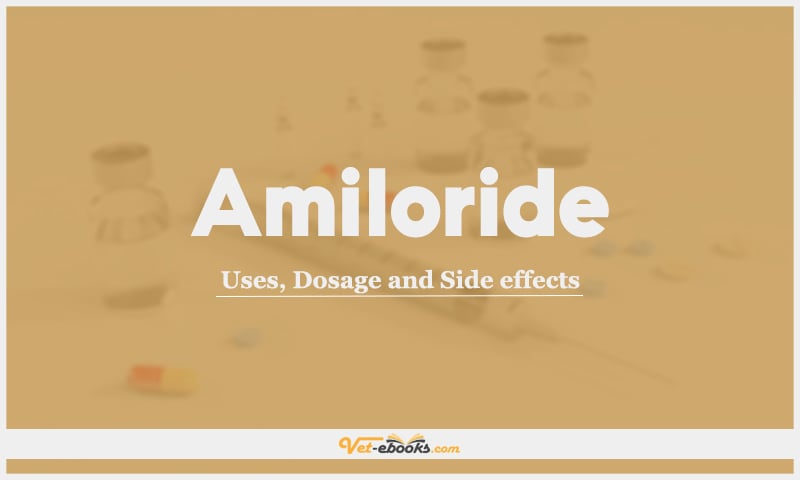 Amiloride: Uses, Dosage and Side Effects