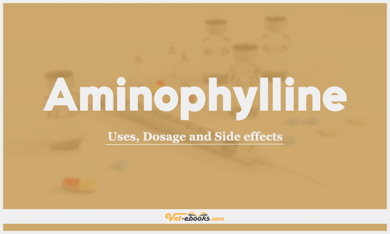 Aminophylline: Uses, Dosage and Side Effects