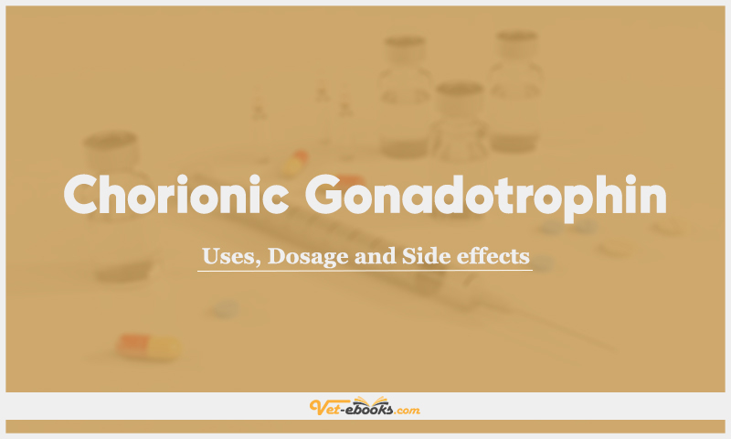 Chorionic Gonadotrophin (Human chorionic gonadotrophin, hCG): Uses, Dosage and Side Effects
