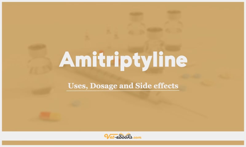 Amitriptyline: Uses, Dosage and Side Effects