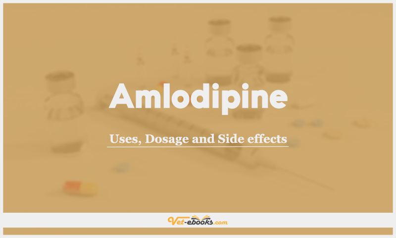 Amlodipine: Uses, Dosage and Side Effects
