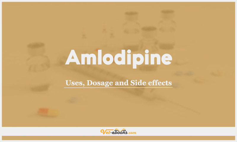 amlodipine-dose-for-dogs-cats-vet-drugs-list