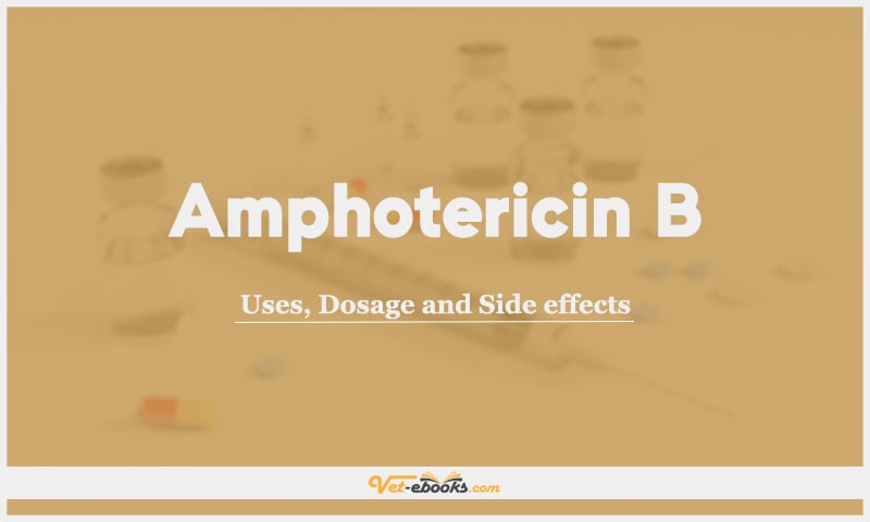 Amphotericin B: Uses, Dosage, and Side Effects