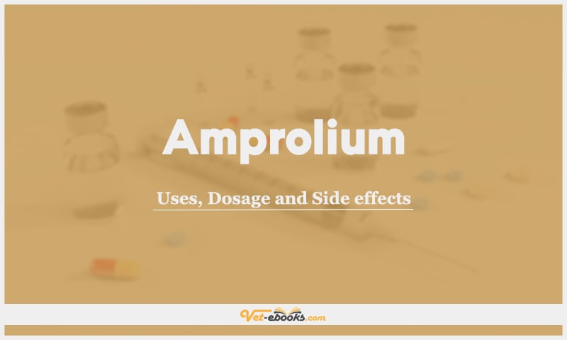 Amprolium: Uses, Dosage and Side Effects