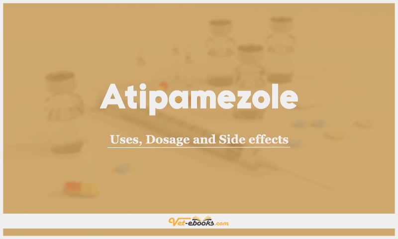 Atipamezole: Uses, Dosage and Side Effects