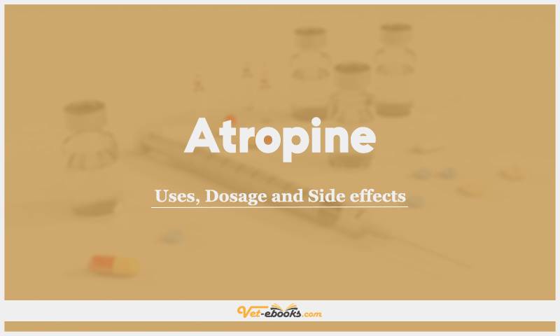 Atropine: Uses, Dosage and Side Effects