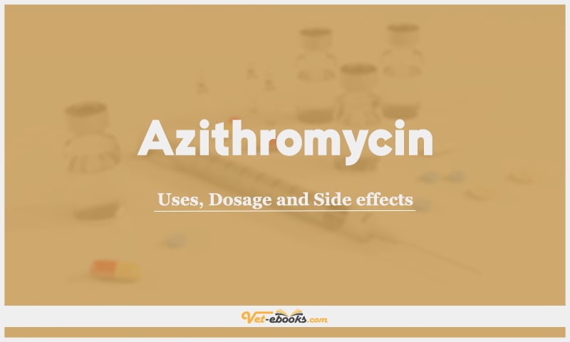 Azithromycin: Uses, Dosage and Side Effects