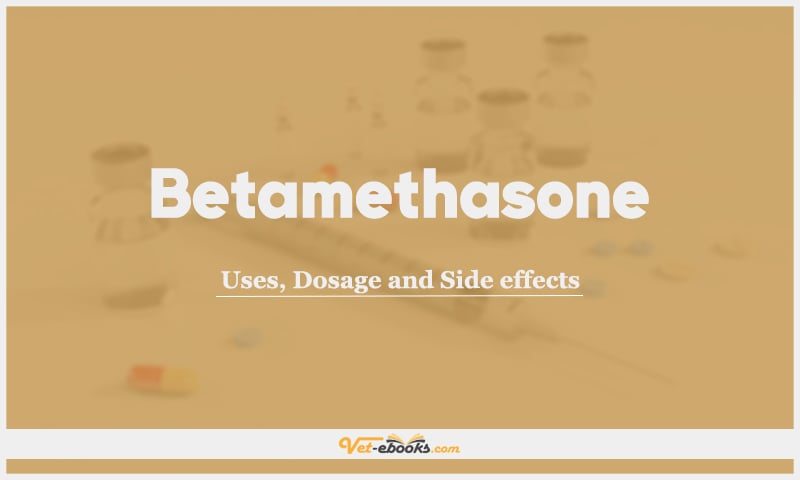 Betamethasone: Uses, Dosage and Side Effects