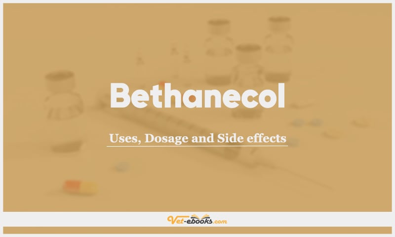 Bethanecol: Uses, Dosage and Side Effects