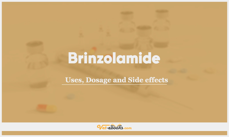 Brinzolamide: Uses, Dosage and Side Effects