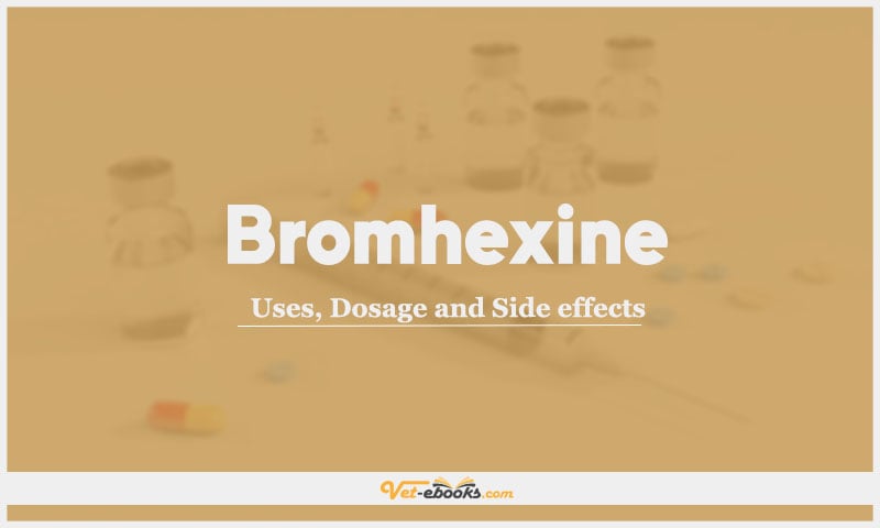Bromhexine: Uses, Dosage and Side Effects