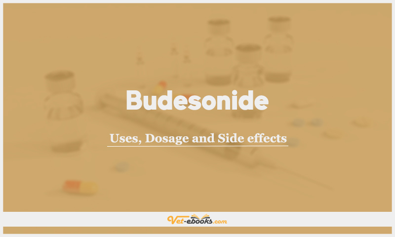 Budesonide: Uses, Dosage and Side Effects