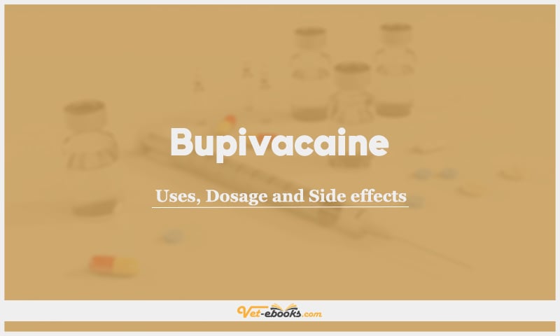 Bupivacaine: Uses, Dosage and Side Effects