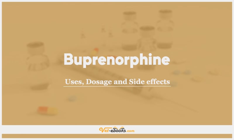 Buprenorphine: Uses, Dosage and Side Effects