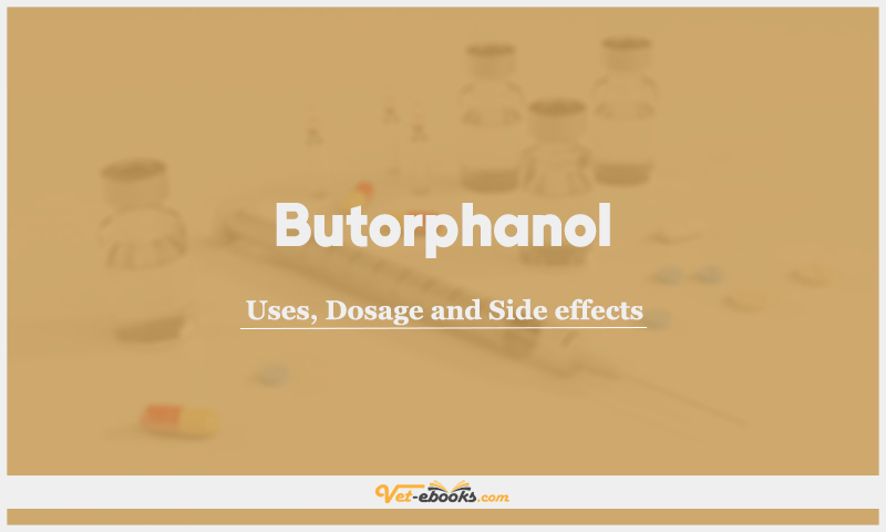 Butorphanol: Uses, Dosage and Side Effects