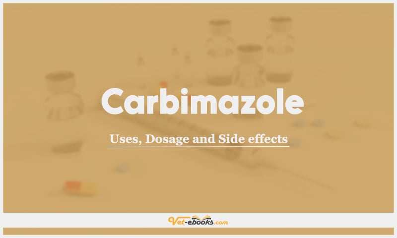 Carbimazole: Uses, Dosage, and Side Effects
