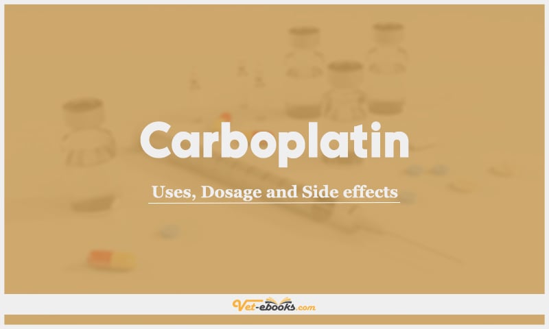 Carboplatin For Dogs and Cats: Uses, Dosage and Side Effects