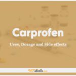 Carprofen For Dogs and Cats: Uses, Dosage and Side Effects