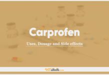 Carprofen For Dogs and Cats: Uses, Dosage and Side Effects