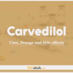 Carvedilol For Dogs: Uses, Dosage and Side Effects