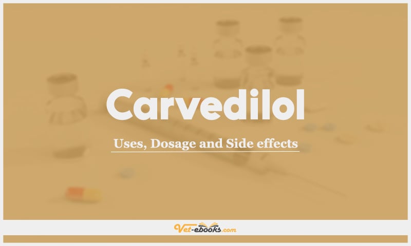 Carvedilol For Dogs and Cats: Uses, Dosage and Side Effects