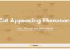 Cat Appeasing Pheromone: Uses, Dosage and Side Effects