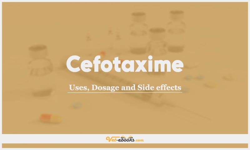 Cefotaxime: Uses, Dosage and Side Effects