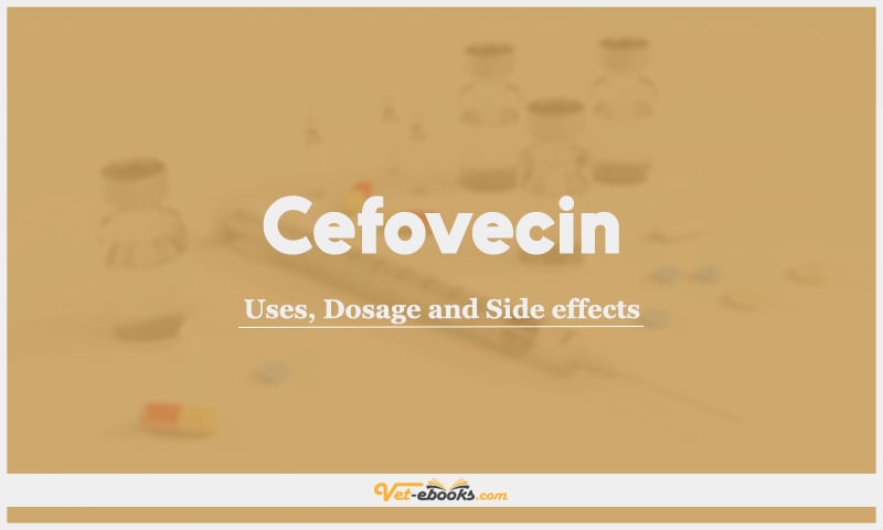 Cefovecin: Uses, Dosage and Side Effects