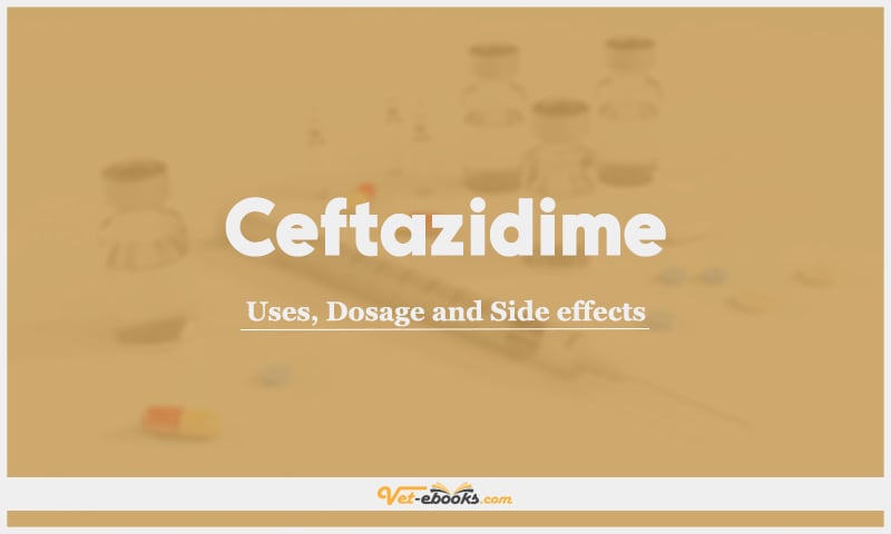 Ceftazidime: Uses, Dosage and Side Effects