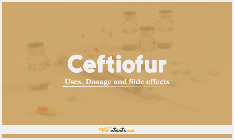 Ceftiofur: Uses, Dosage and Side Effects