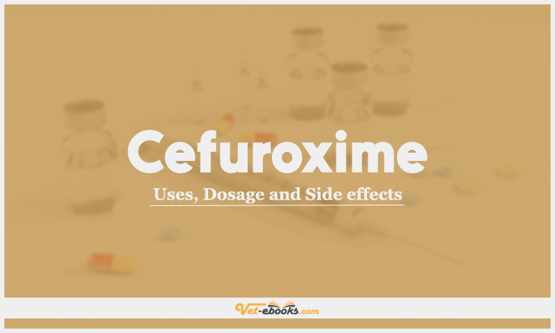 Cefuroxime: Uses, Dosage and Side Effects