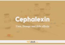 Cephalexin For Dogs and Cats: Uses, Dosage and Side Effects