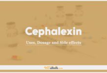 Cephalexin For Dogs and Cats: Uses, Dosage and Side Effects