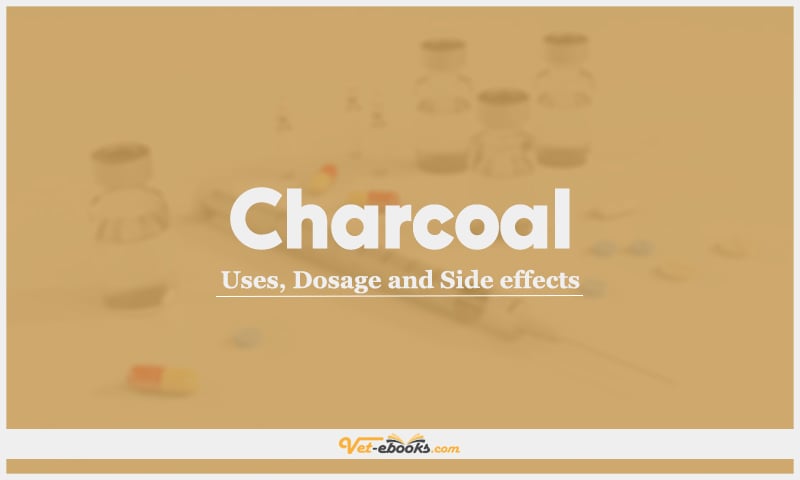 Charcoal (Activated charcoal): Uses, Dosage and Side Effects