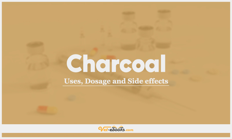 Charcoal (Activated charcoal): Uses, Dosage and Side Effects