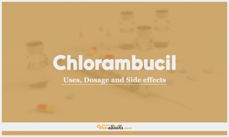 Chlorambucil: Uses, Dosage and Side Effects