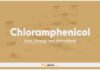 Chloramphenicol: Uses, Dosage and Side Effects