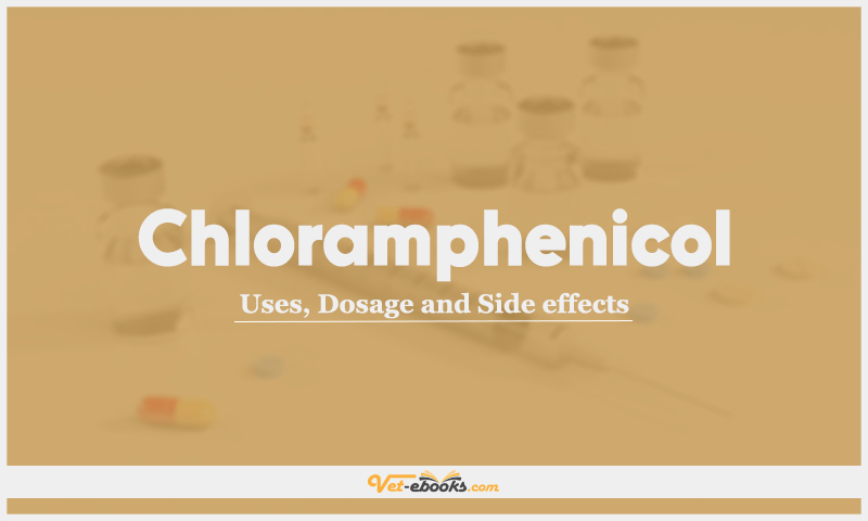 Chloramphenicol