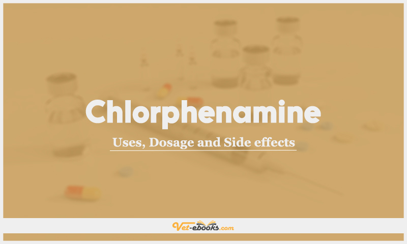 Chlorphenamine: Uses, Dosage and Side Effects