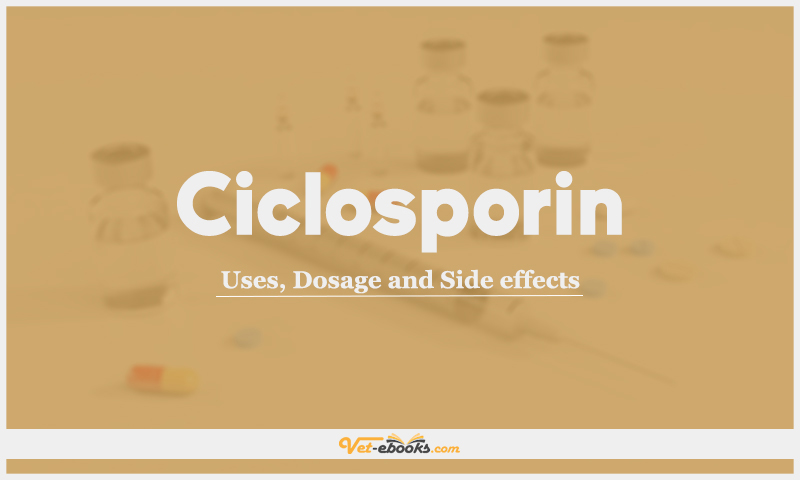 Ciclosporin (Cyclosporine): Uses, Dosage and Side Effects